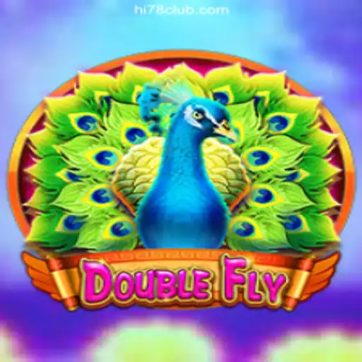 Exploring DoubleFly: The Thrilling Gaming Experience